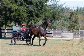 LR-WRF 10182025 Retreat-6377